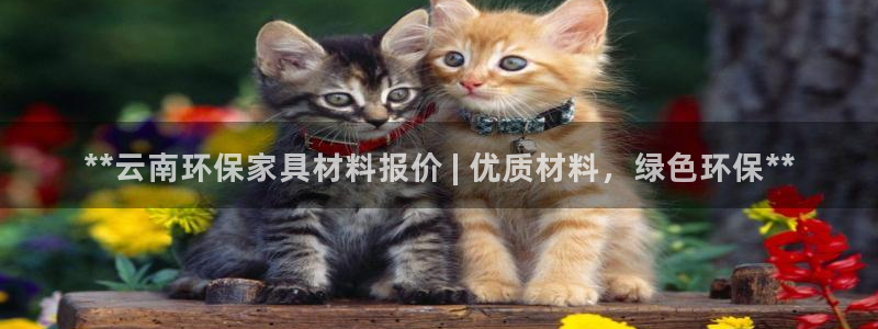 杏耀平台指定