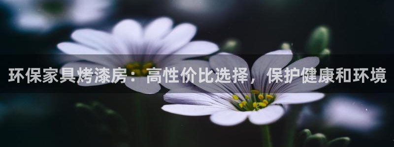 杏耀平台代理登录网址是多少