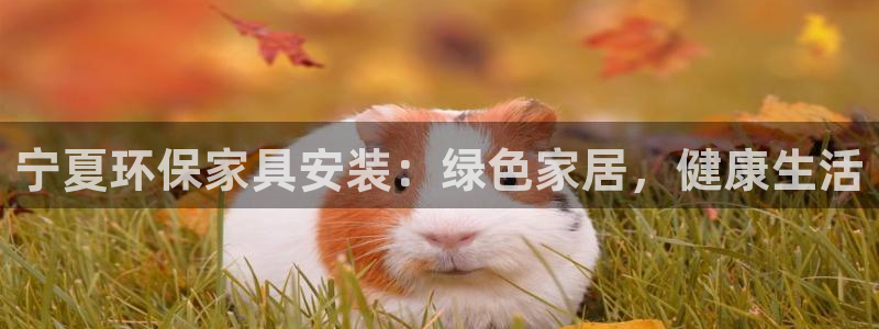 杏耀平台没有了