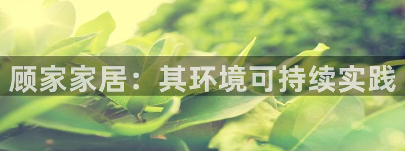 杏耀代理主管qq
