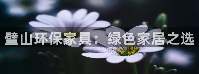 杏耀平台得专用通道：璧山环保家具：绿色家居之选