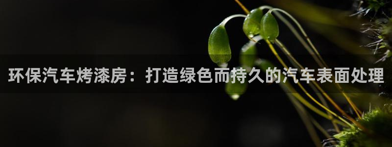 杏耀代理官网