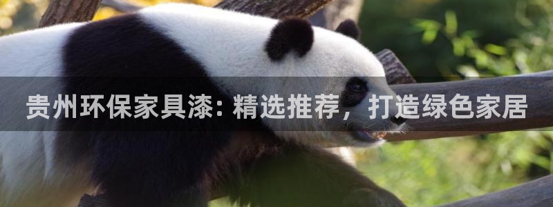杏耀代理连接