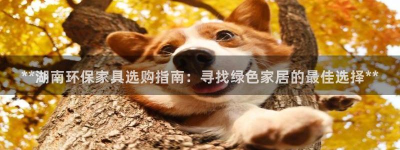 杏耀平台测：**湖南环保家具选购指南：寻找绿色家居的最佳选择