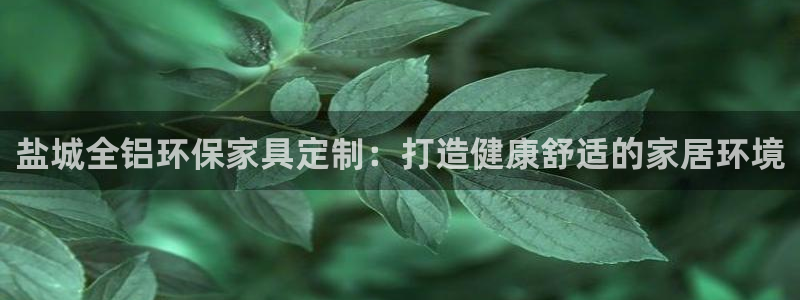 杏耀平台没有了