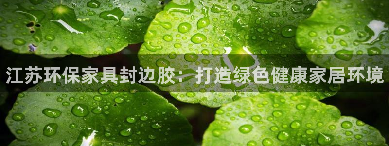 杏耀平台几年了：江苏环保家具封边胶：打造绿色健康家居环境