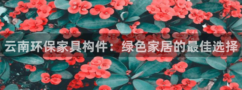杏耀平台没有了