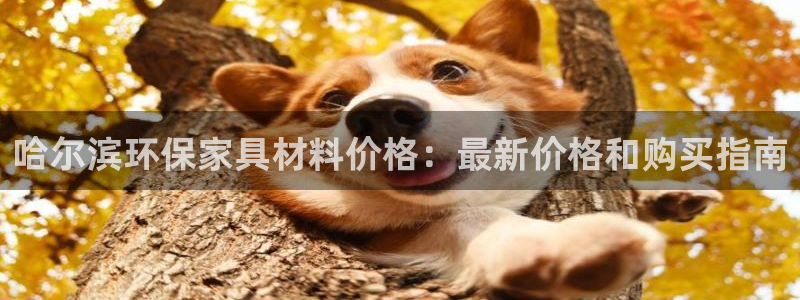 杏耀注册app：哈尔滨环保家具材料价格：最新价格和购买指南
