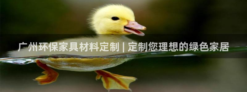 杏耀app怎样申请：广州环保家具材料定制 | 定制您理想的绿