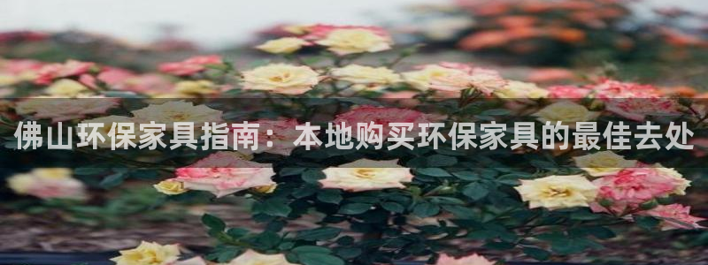 杏耀平台首页：佛山环保家具指南：本地购买环保家具的最佳去处