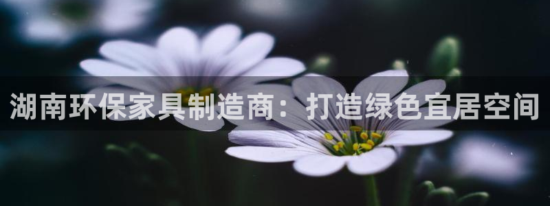 杏耀官网登陆：湖南环保家具制造商：打造绿色宜居空间