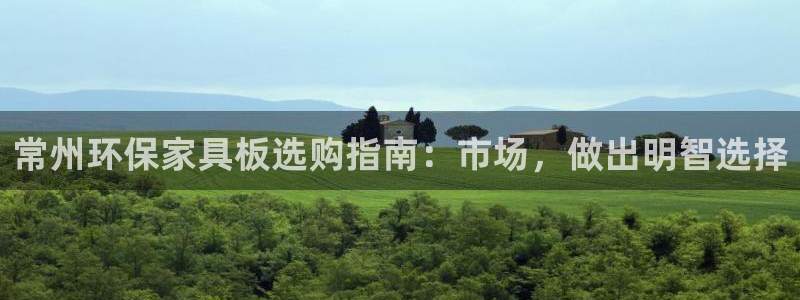 杏耀平台登录：常州环保家具板选购指南：市场，做出明智选择