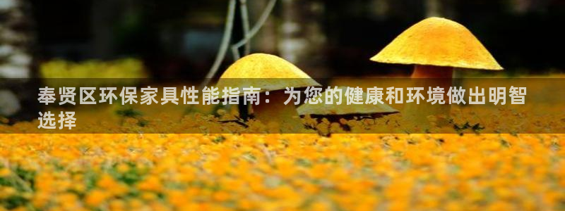 杏耀管网登录：奉贤区环保家具性能指南：为您的健康和环境做出明