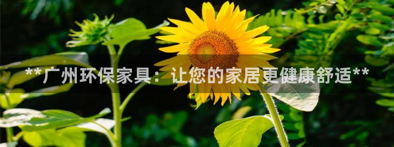 杏耀线路5检测：**广州环保家具：让您的家居更健康舒适**