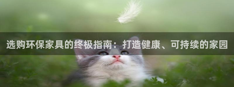 杏耀官方测速：选购环保家具的终极指南：打造健康、可持续的家园