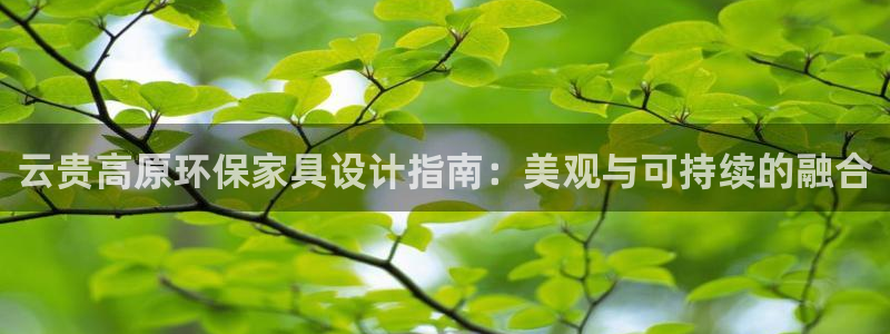 杏耀平台测速地址：云贵高原环保家具设计指南：美观与可持续的融
