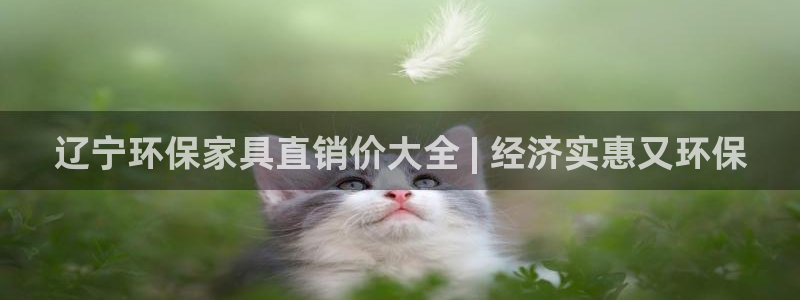 杏耀平台主管：辽宁环保家具直销价大全 | 经济实惠又环保