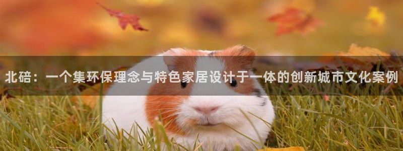 杏耀平台官方网站下载