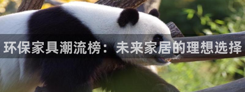 杏耀平台测速登陆