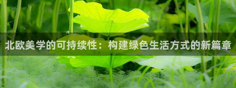 杏耀平台怎么样