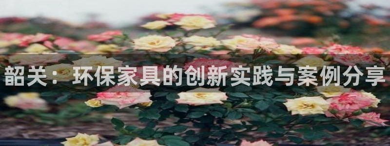 杏耀注册代理：韶关：环保家具的创新实践与案例分享