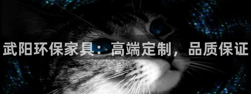 杏耀平台怎么注册：武阳环保家具：高端定制，品质保证