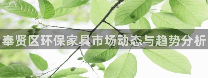 杏耀注册网址：奉贤区环保家具市场动态与趋势分析