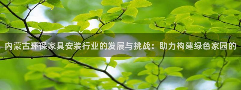杏耀平台登陆测速：内蒙古环保家具安装行业的发展与挑战：助力构