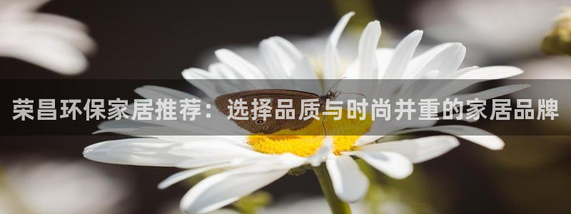 杏耀官网主管：荣昌环保家居推荐：选择品质与时尚并重的家居品牌