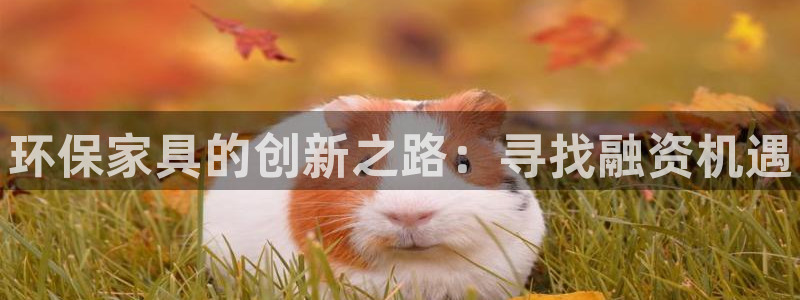 杏耀平台服务中心：环保家具的创新之路：寻找融资机遇