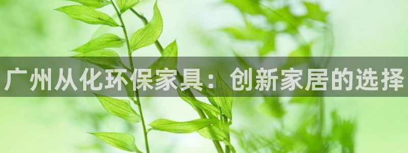杏耀手机网页登录入口：广州从化环保家具：创新家居的选择